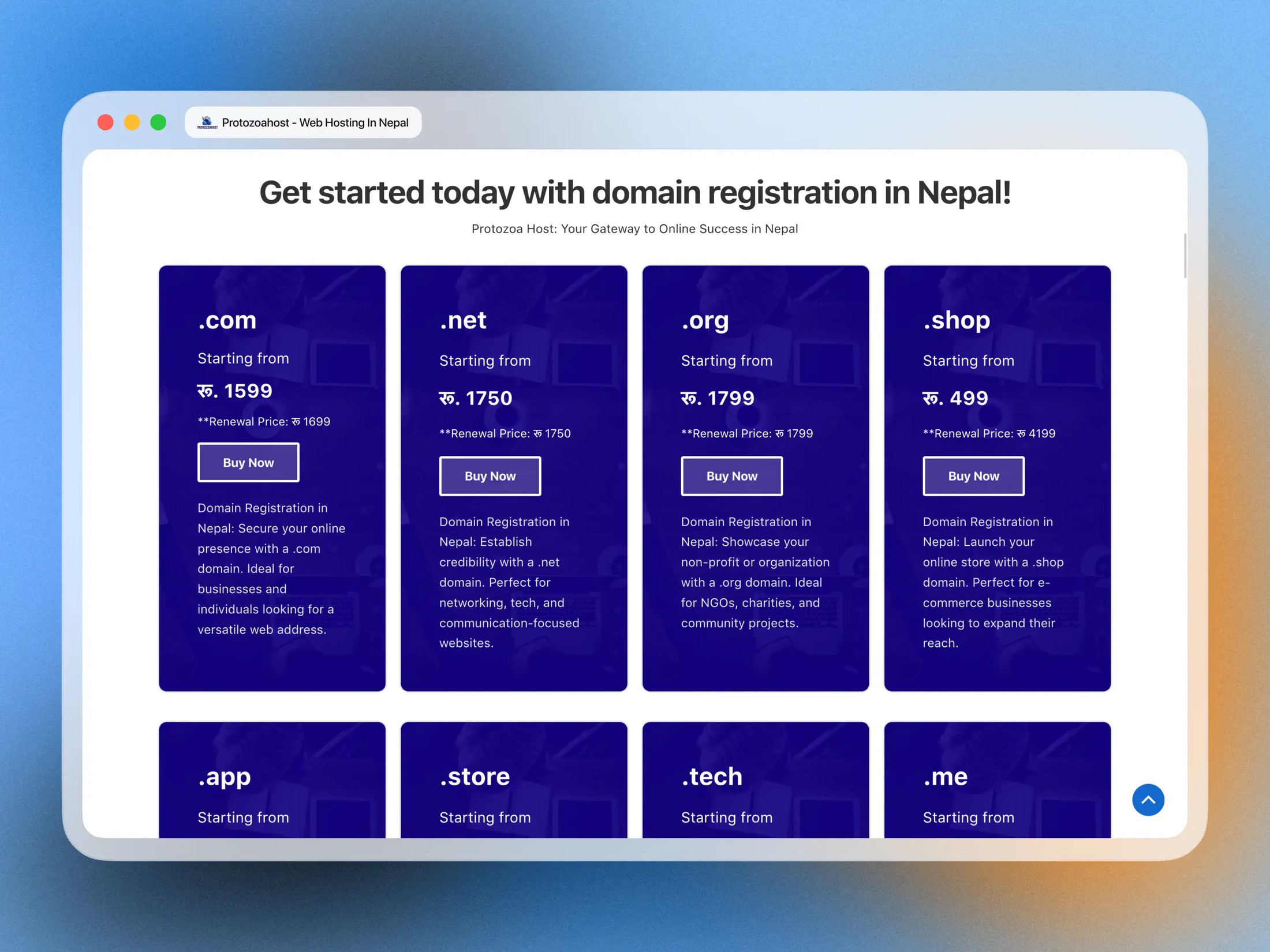 ProtozoaHost domain page, before redesign